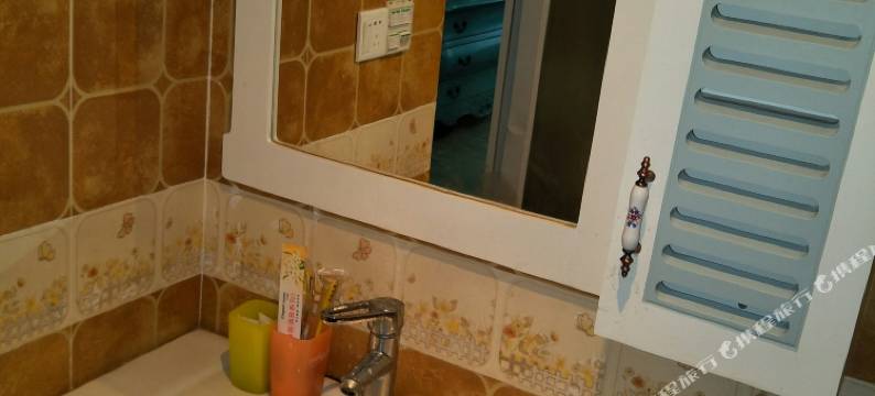 DS蒂艾仕酒店公寓图片