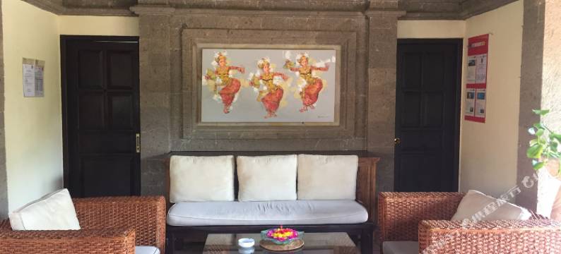 普瑞梅沙瑞套房酒店(Puri Mesari Suites)图片