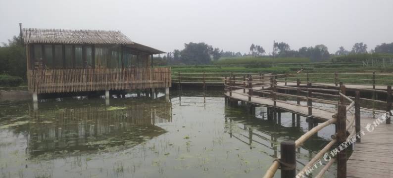 蒲江雅怡酒店图片