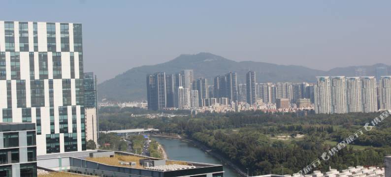 常春藤服务公寓(深圳湾店)图片