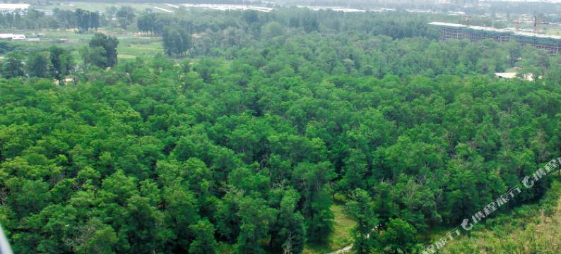 营口鲅鱼圈万科自由海海景公寓图片