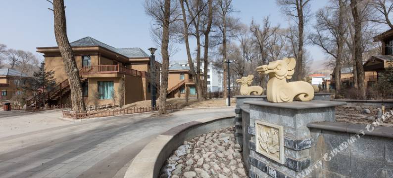 祁连星空林卡酒店图片