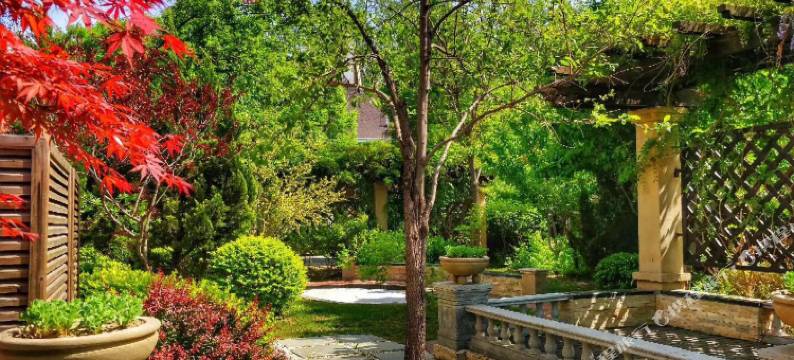 白洋淀美芦庄园图片