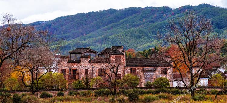 宏村塔川阿琳娜花园度假酒店图片