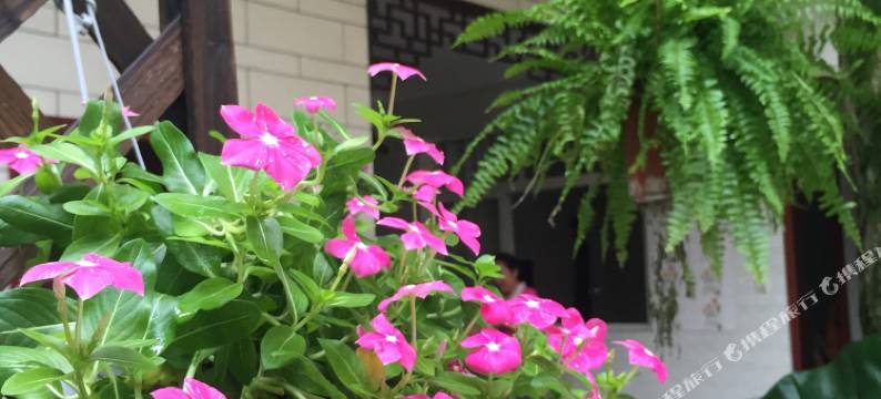 街子古镇古月人家客栈图片