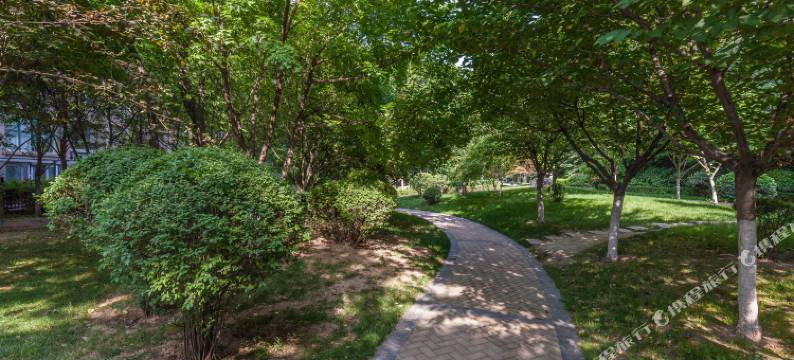 西安大唐芙蓉园/海洋馆/大雁塔观景三居室公寓(神奇动物在哪里极地馆分店)图片