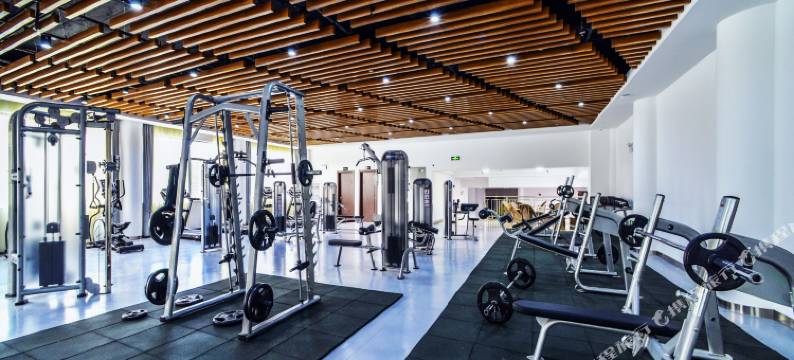 黄山维居烟草迎客松宾馆图片