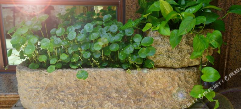 朱家尖这片海客栈图片