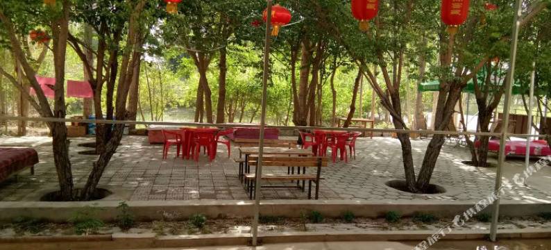 敦煌相见欢农家园图片