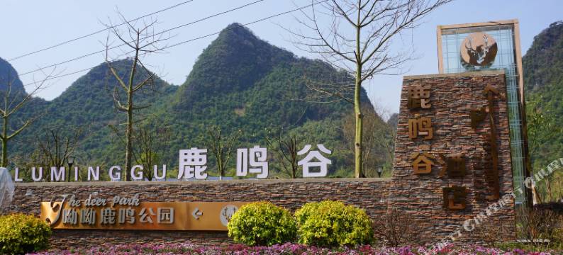 鹿寨鹿鸣谷酒店图片