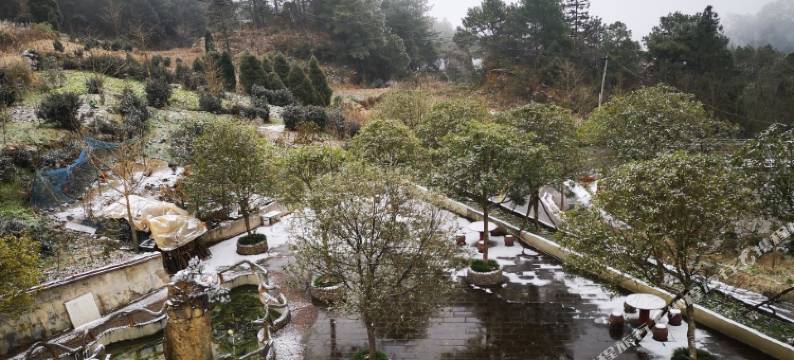 重庆金佛园酒店图片