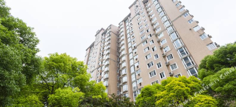 上海玩美空间公寓(4号店)图片