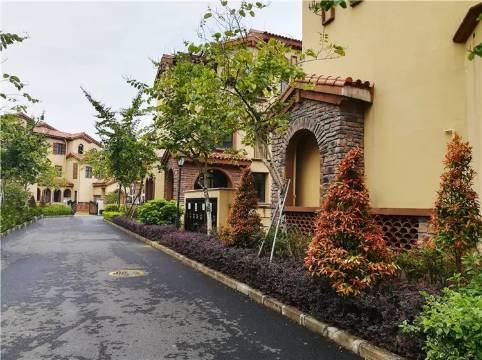 惠东富力湾华丽休闲度假别墅