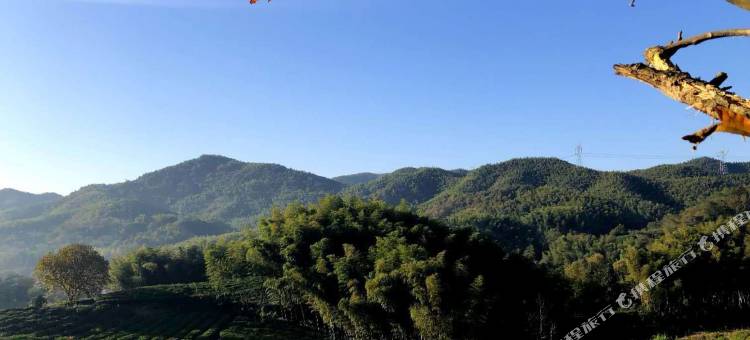 霍山南岳农庄图片