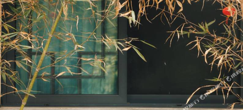 峨眉山竹韵小院(峨眉山报国寺店)图片