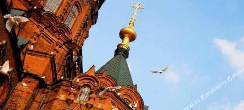 哈尔滨米店青年旅舍(中央大街店)图片