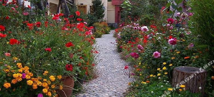 香格里拉国际青年旅舍图片