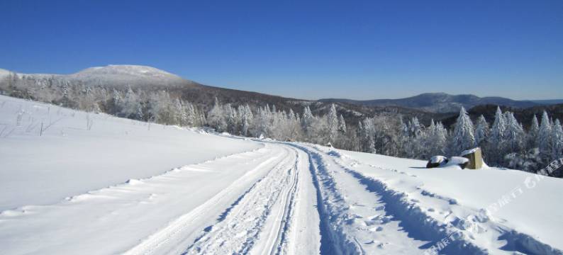 雪乡雪松家庭旅馆图片