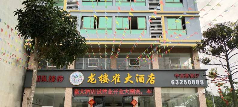 文昌龙楼雀大酒店图片