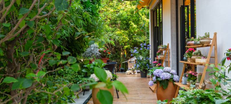 珠海观琴民宿(长隆旅游度假区店)图片