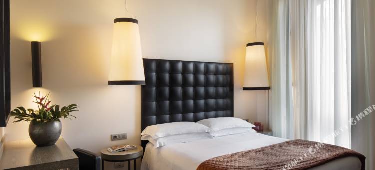 星际埃科酒店(Starhotels Echo)图片