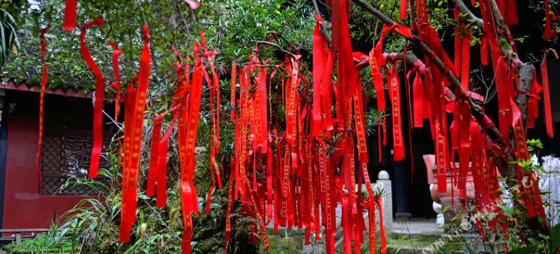 青城山道教圆明宫客栈图片