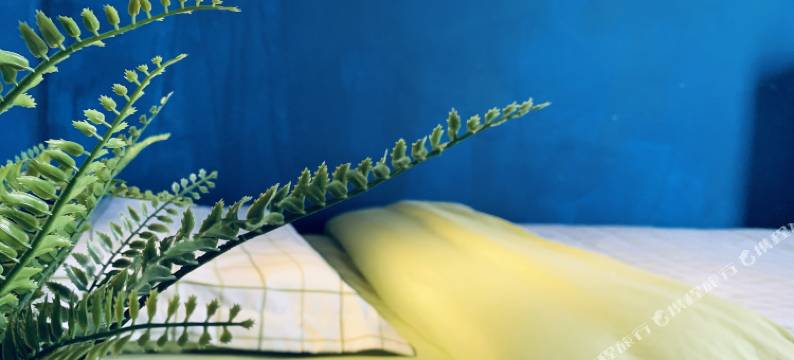 北京理想主义青旅图片