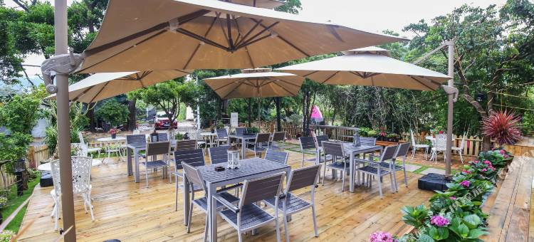 Q加·深圳棕榈湾艺术民宿图片