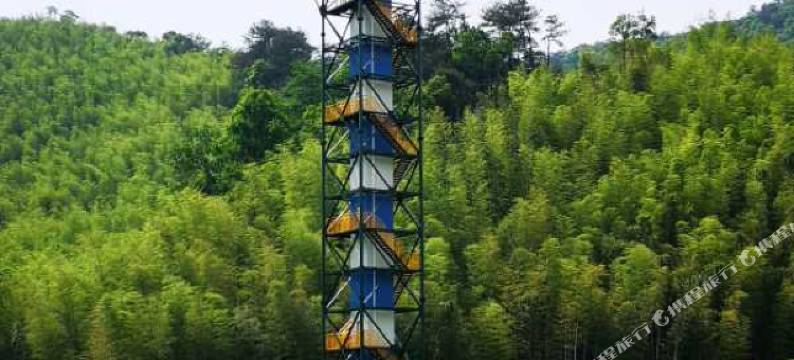 宣城丽禧·亲心谷度假酒店图片