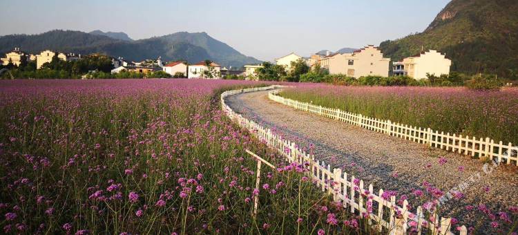 仙居小山村暖宿图片