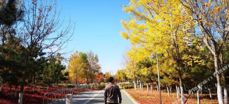 烟台花园海景民宿图片