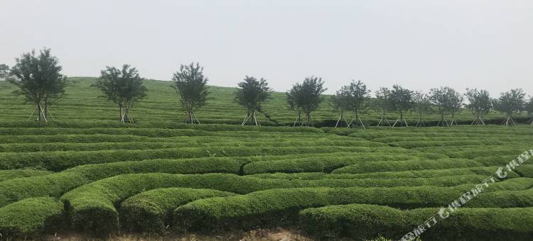 金华畲乡别墅图片
