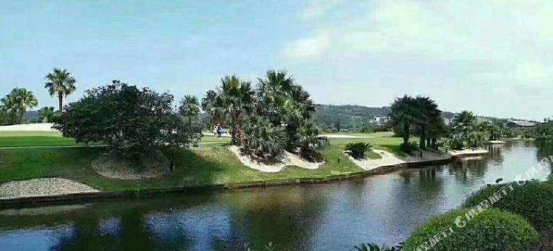 馨谊宾馆民宿(侨港北海国际客运码头店)图片