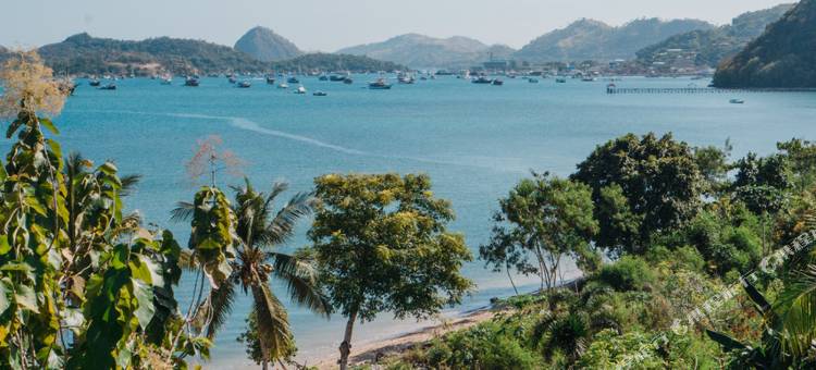 宾唐弗洛雷斯酒店(Bintang Flores Hotel)图片