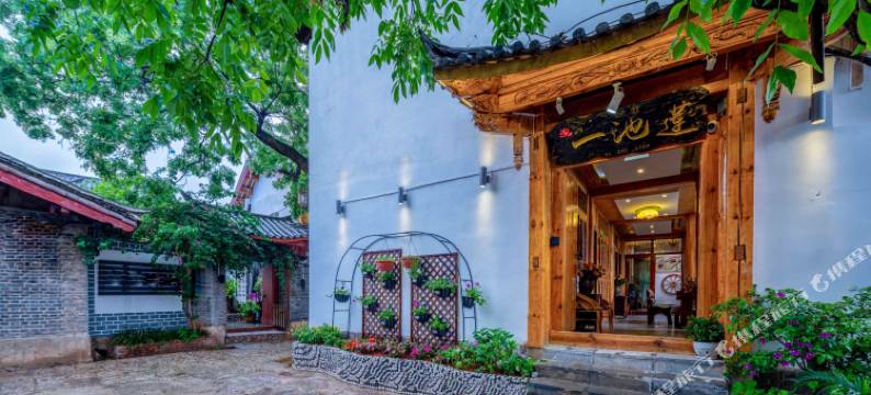 丽江一池莲客栈图片