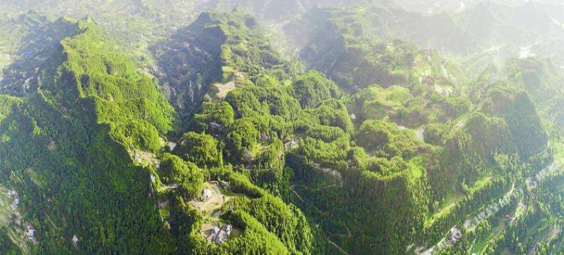 巴中一缕月光客栈图片