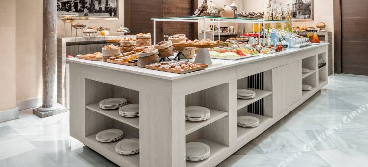 维多利亚NH系列酒店(NH Collection Granada Victoria)图片