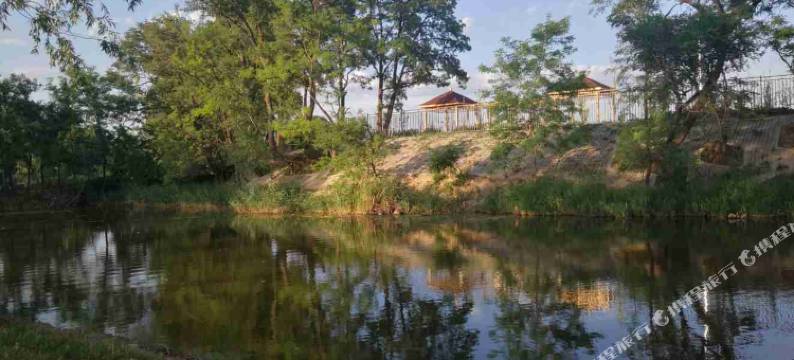 北京园中苑民宿图片