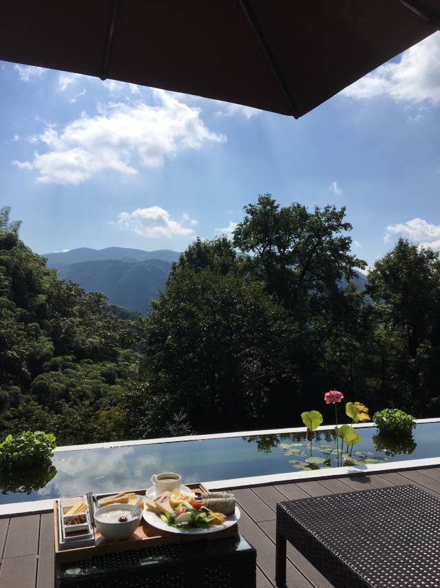 安吉迈岚·密藏山谷·漂游观星图片