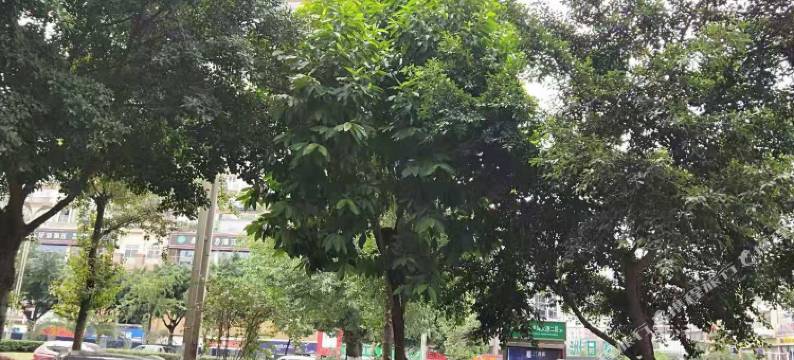 泸州星和商务宾馆图片