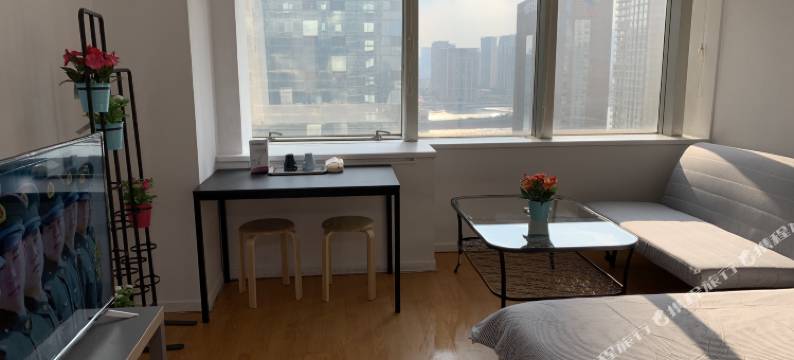 陆杨公寓(陆家嘴店)图片
