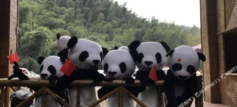 蜀南竹海观景楼酒店图片