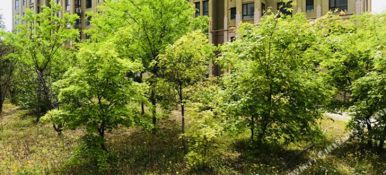 营口营家旅店图片