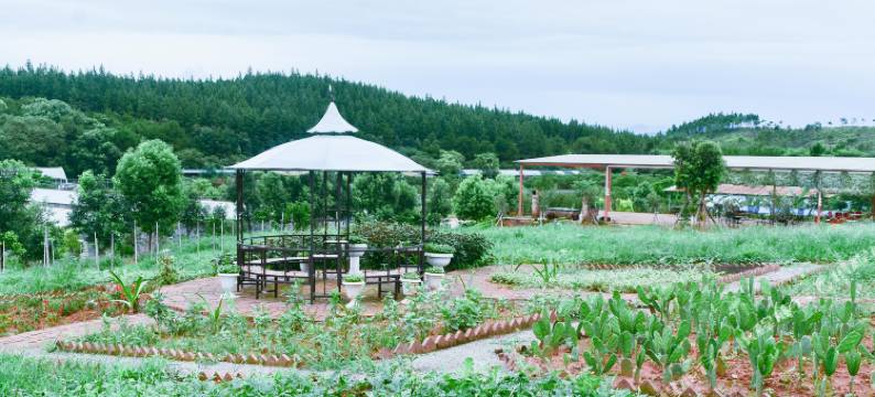 始兴开心农场图片