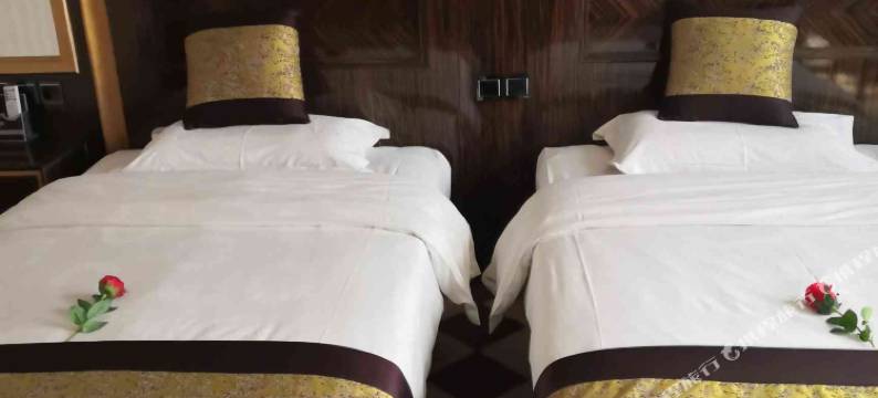 大荔金鹰大酒店图片