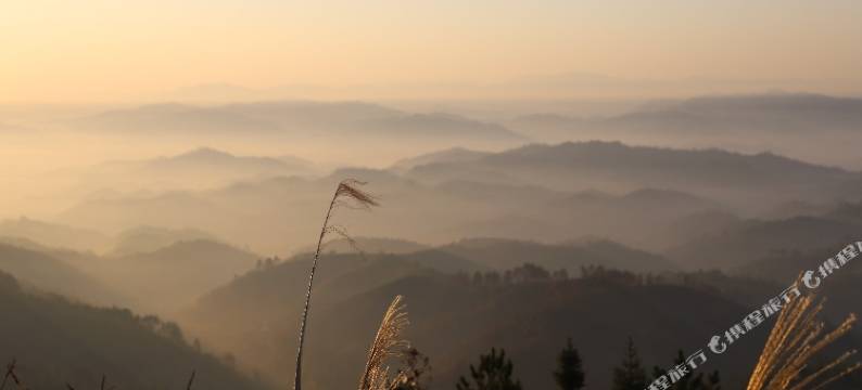 南雄旺兴酒楼图片