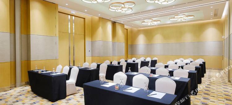 麦克坦新镇萨沃伊酒店(Savoy Hotel Mactan Newtown)图片