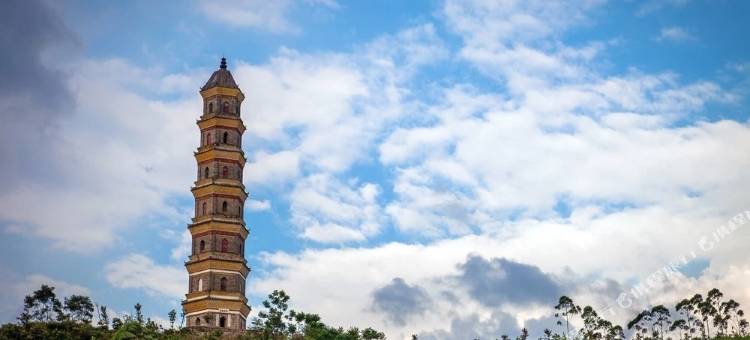 维也纳酒店(新丰店)图片