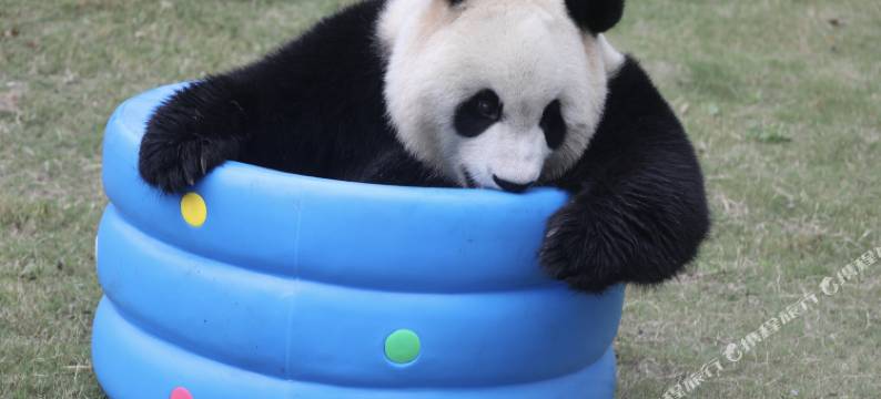南京紫清湖生态旅游温泉度假区图片