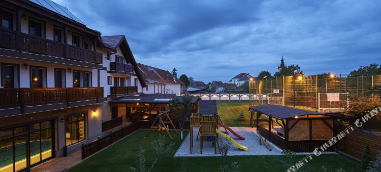 蔻娜奇奥安比恩特度假酒店(Conacul Ambient)图片